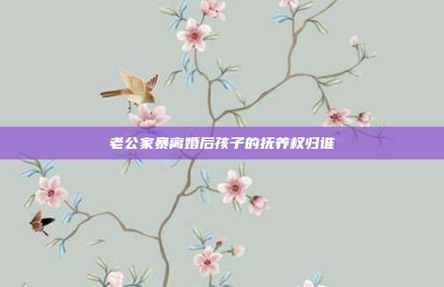 老公家暴离婚后孩子的抚养权归谁
