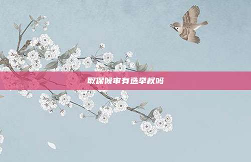 取保候审有选举权吗