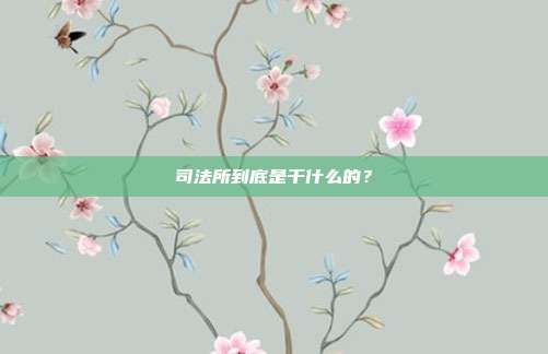 司法所到底是干什么的？