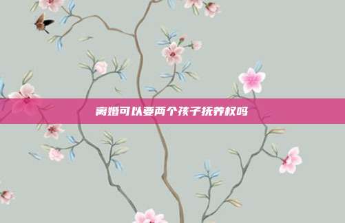 离婚可以要两个孩子抚养权吗