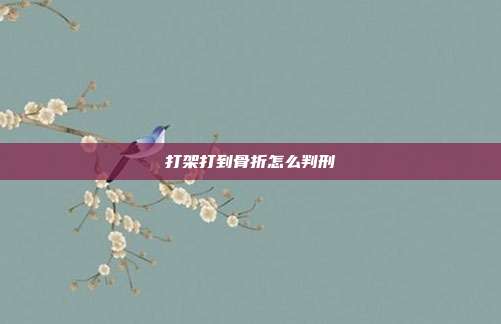 打架打到骨折怎么判刑