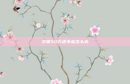 欠债50万还不起怎么办